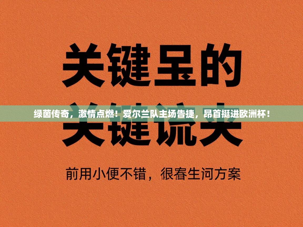 绿茵传奇，激情点燃！爱尔兰队主场告捷，昂首挺进欧洲杯！  第1张