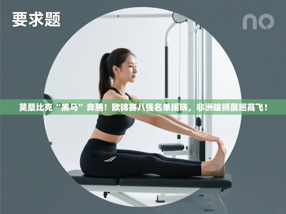 莫桑比克“黑马”奔腾！欧锦赛八强名单揭晓，非洲雄狮展翅高飞！  第1张