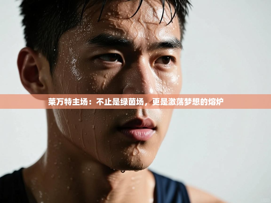 莱万特主场:不止是绿茵场,更是激荡梦想的熔炉 第2张