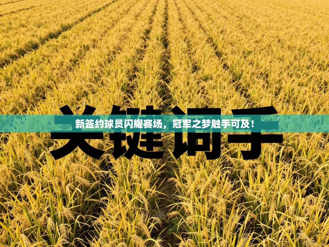 新签约球员闪耀赛场,冠军之梦触手可及! 第1张