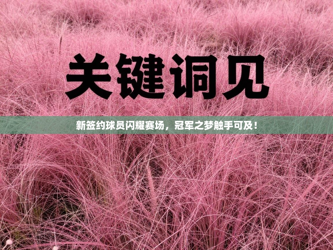 新签约球员闪耀赛场,冠军之梦触手可及! 第2张