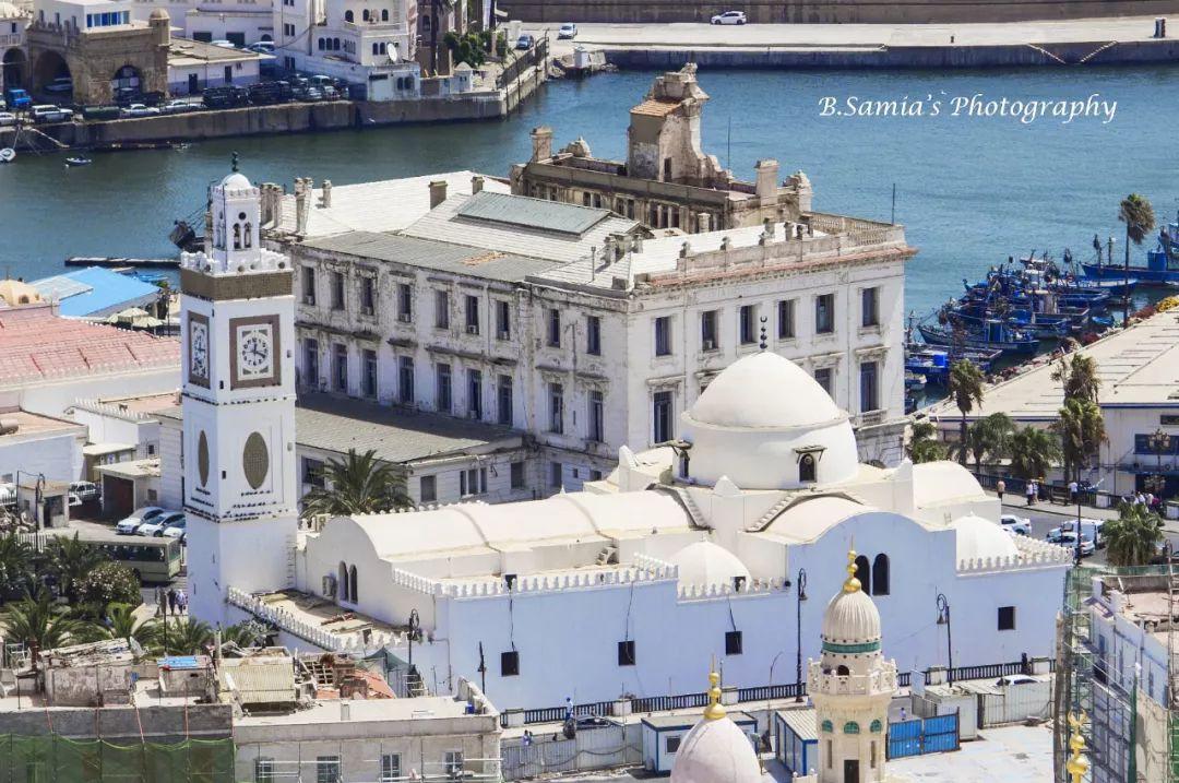 爱游戏官方-阿尔及利亚明星爆发力十足，一战成名！的简单介绍