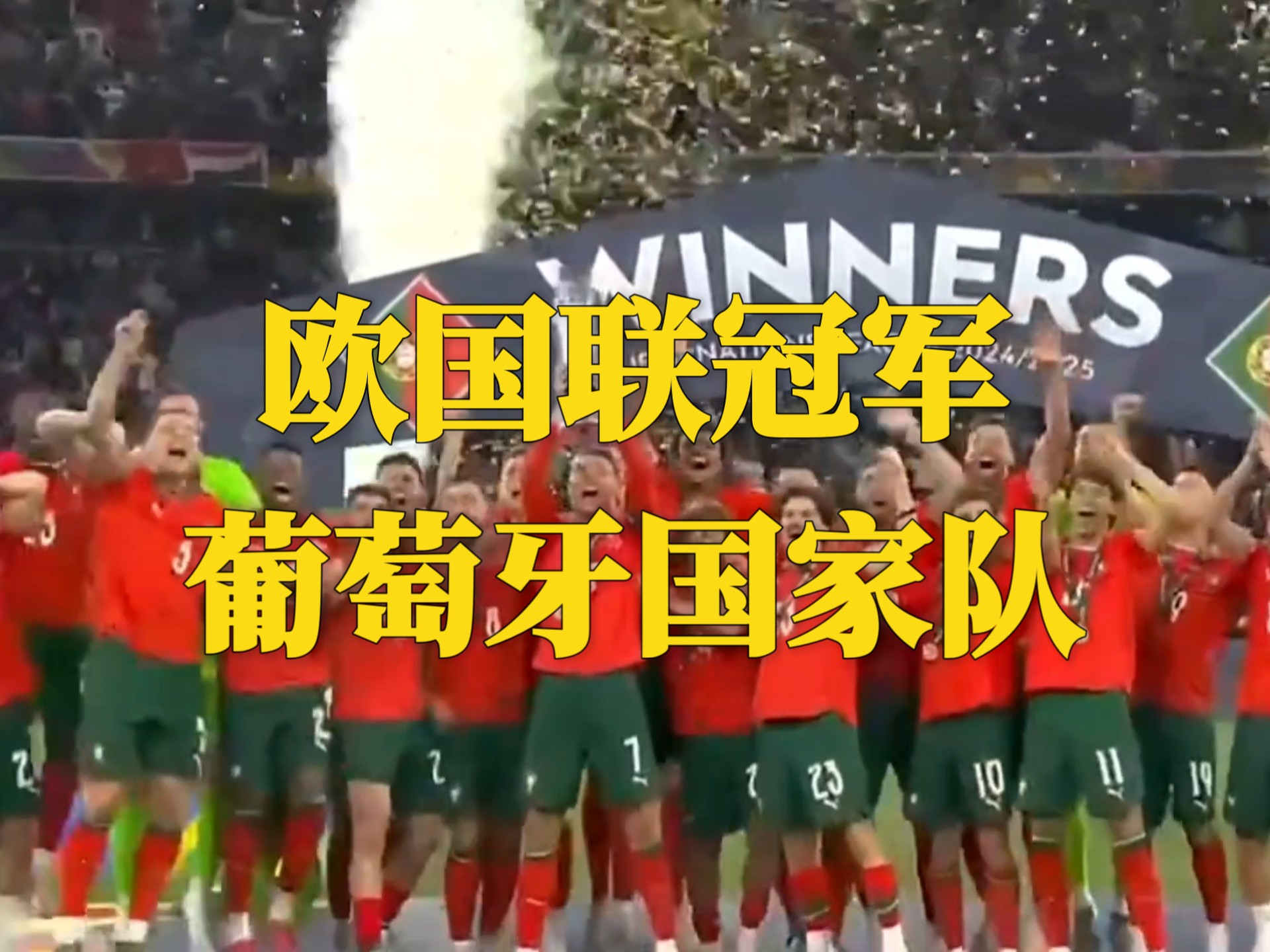 爱游戏教练-葡萄牙队力挫强敌,捧起奖杯